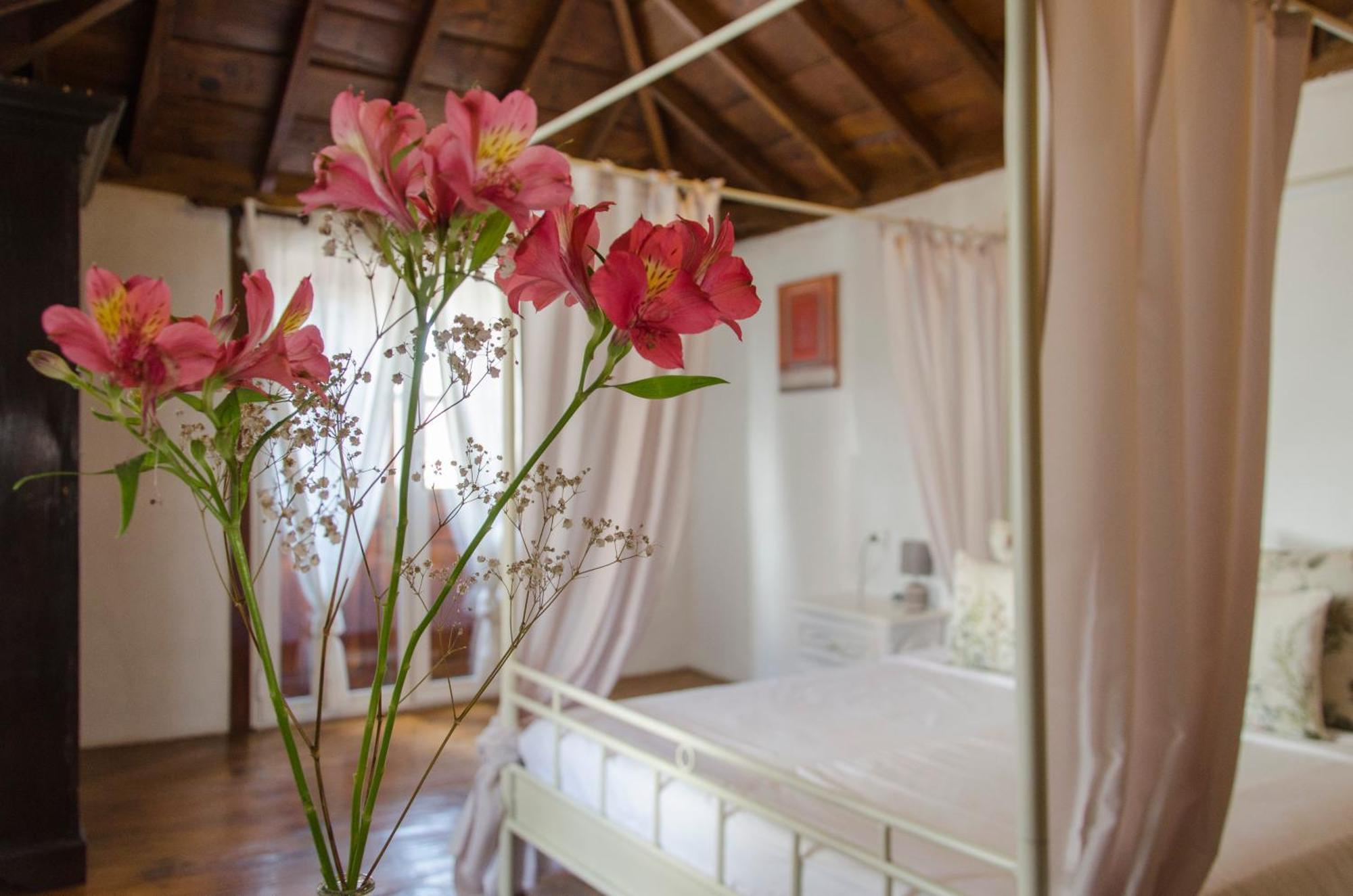 Hotel Rural Casona Santo Domingo Güimar Kültér fotó